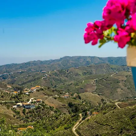 Winehouse With Fireplace&heating,bbq, Wifi, Pool, Close To Malaga בית נופש *