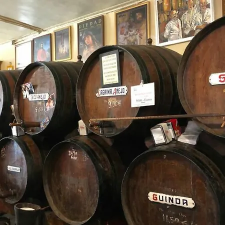 Winehouse With Big Pool, Bbq, Wifi, Close To Malaga Holiday home