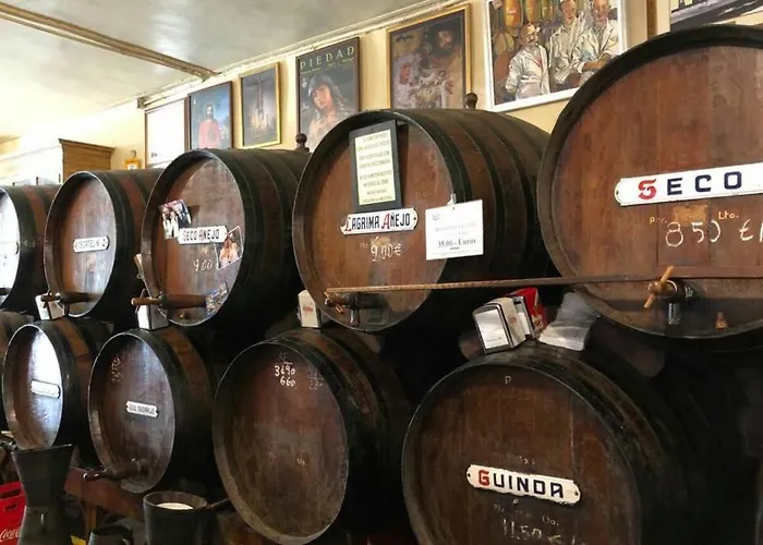 Winehouse With Fireplace&heating,bbq, Wifi, Pool, Close To Malaga Hébergement de vacances